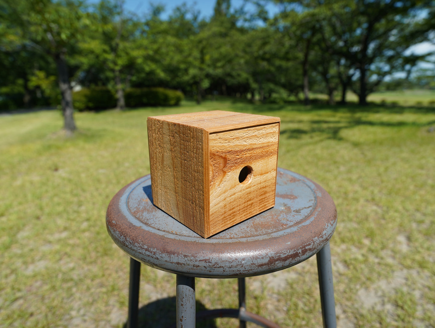 Sustainable wood square105 #1