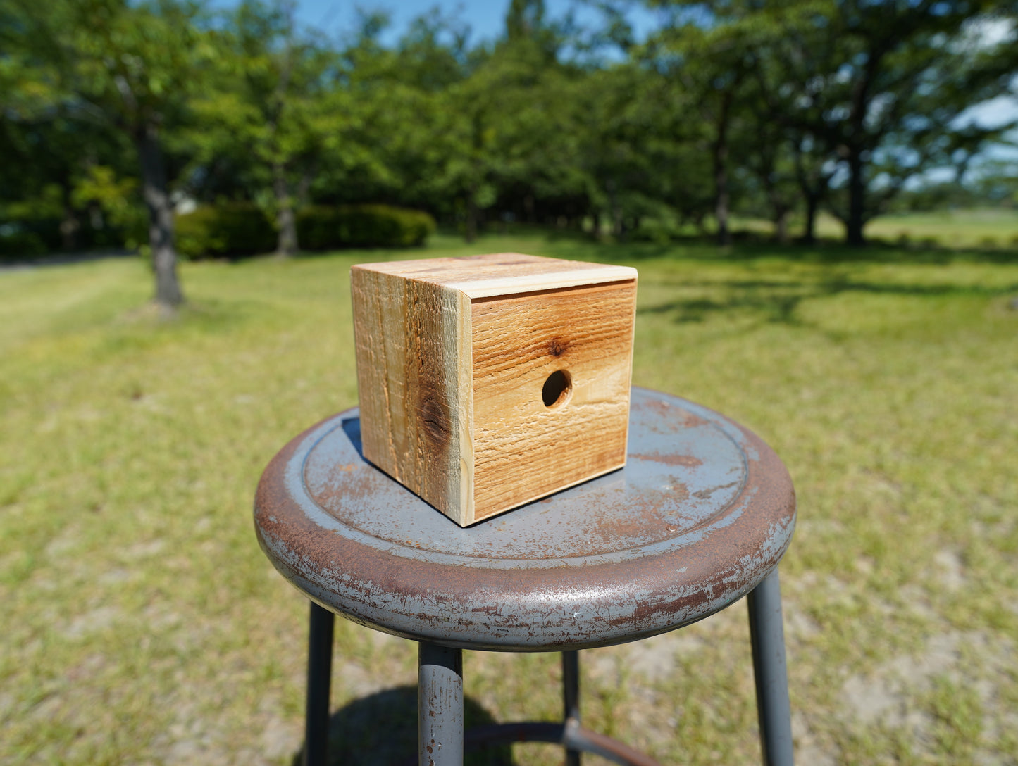 Sustainable wood square105 #2