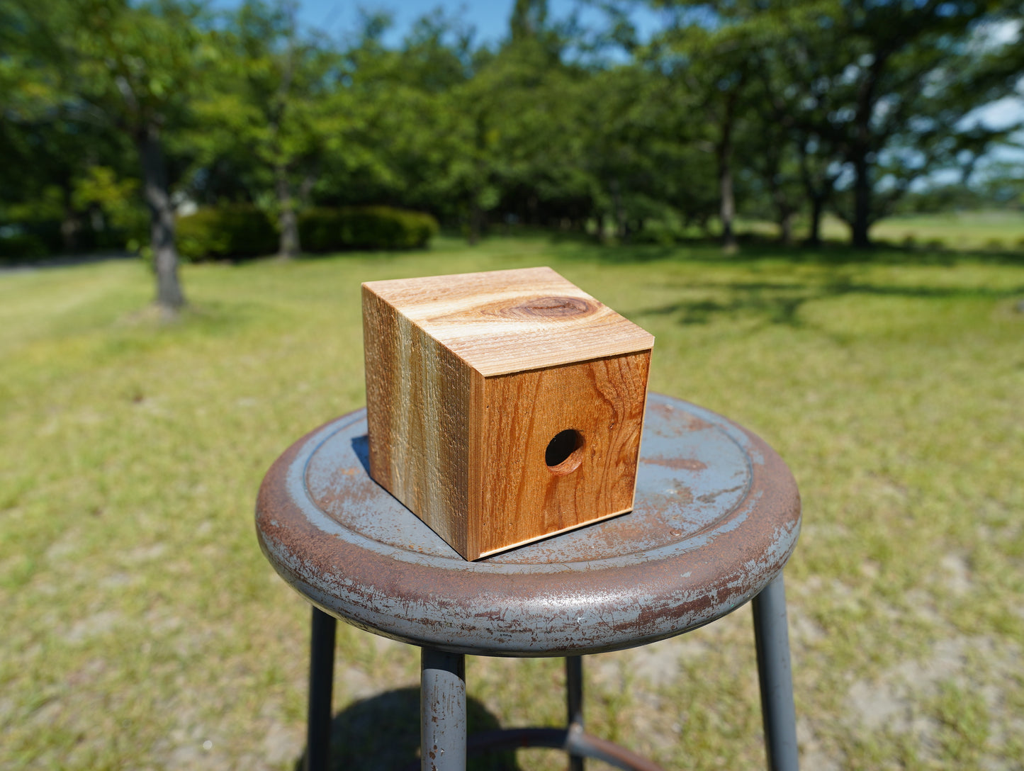 Sustainable wood tapered 105 #4