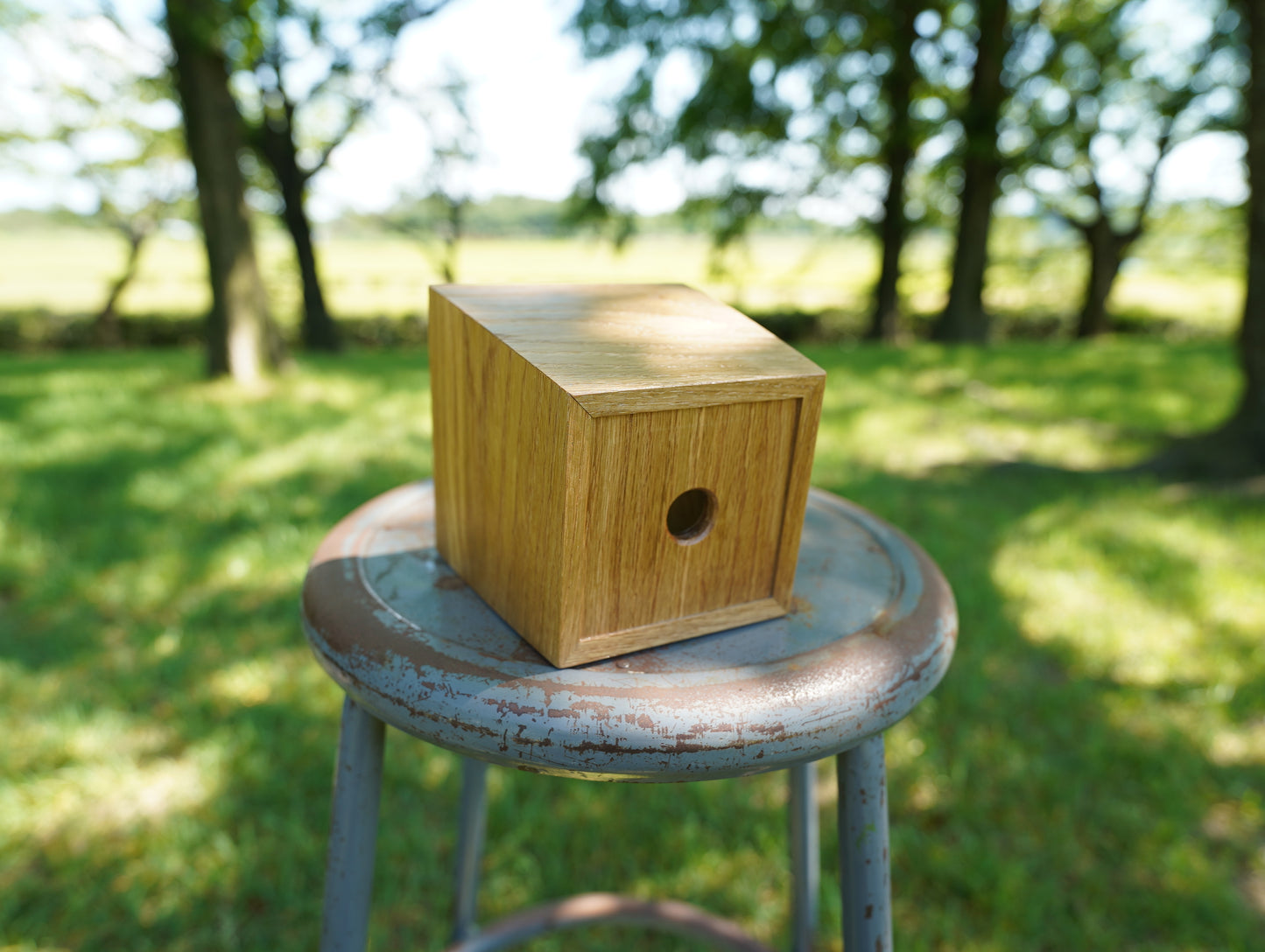 Sustainable wood tapered 120 #8