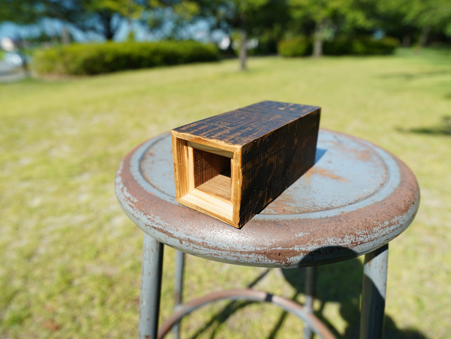 Old wood dry vase #14