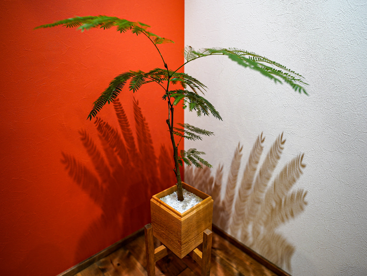 Sustainable wood square105 #2