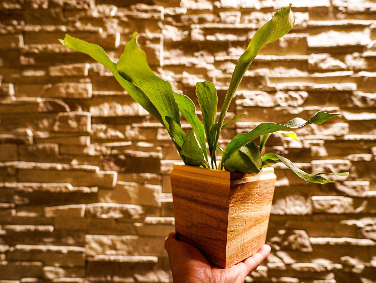 Sustainable wood tapered 105 #5