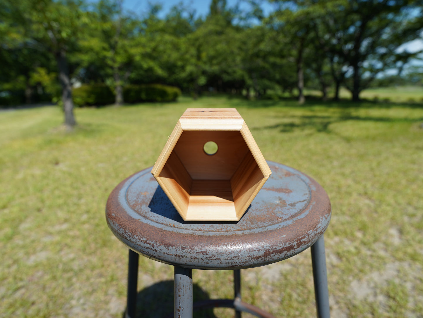 Sustainable wood hexagon 120 #7