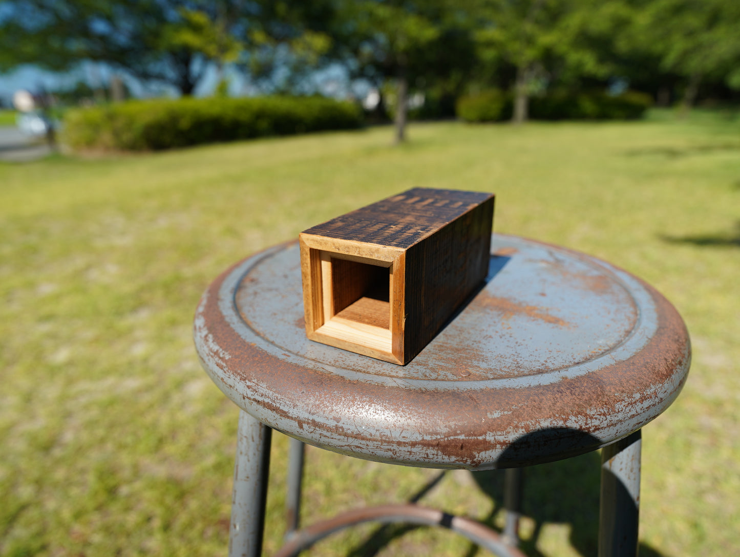 Old wood dry vase #15