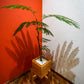 Sustainable wood square105 #1