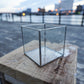 Glass Planter square clear #19