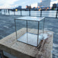 Glass Planter square clear #19