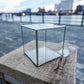 Glass Planter square clear #19