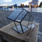 Glass Planter pentagon BF#28