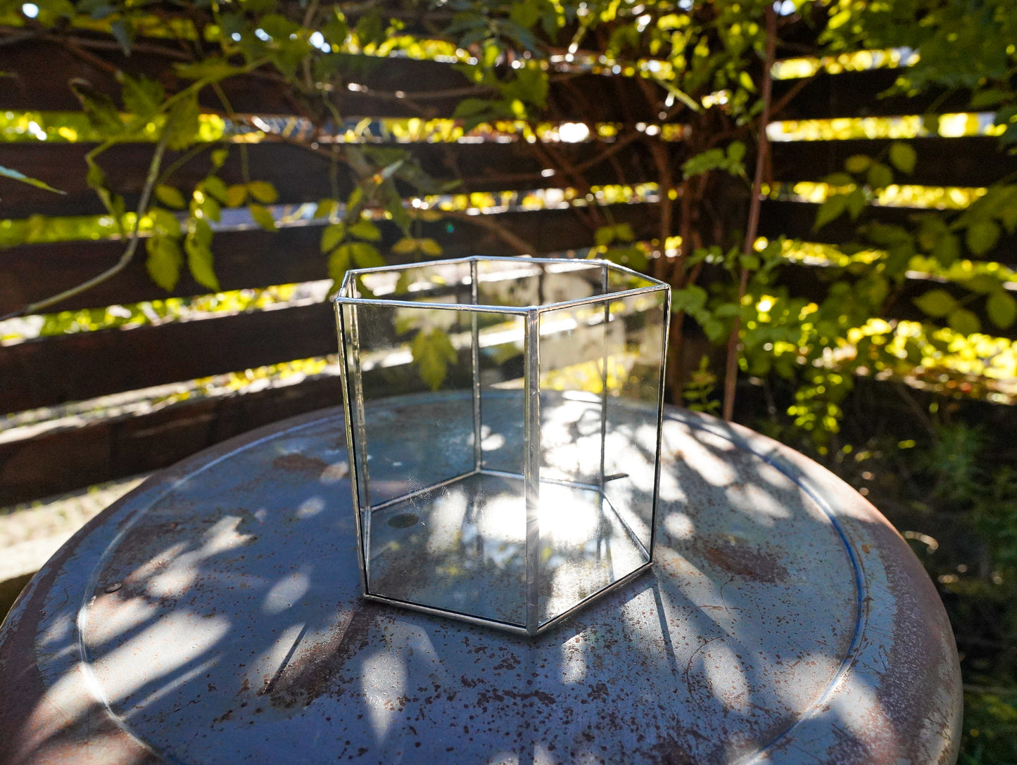 Glass Planter hexagon #67