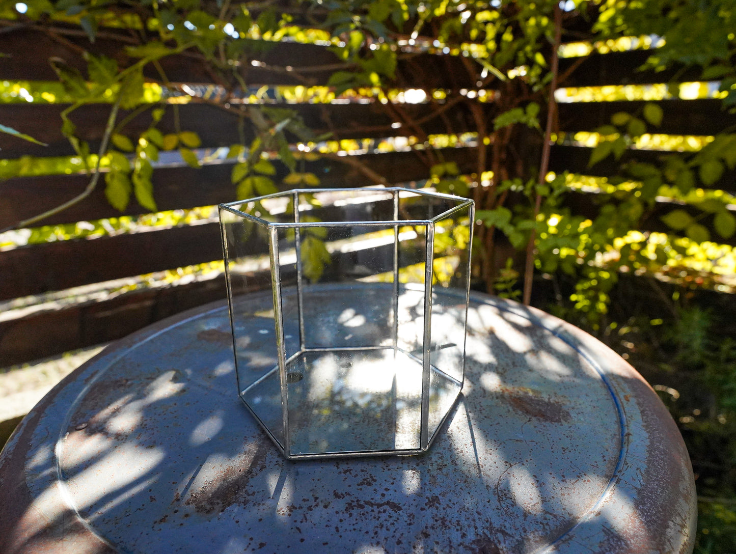 Glass Planter hexagon #67