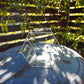 Glass Planter hexagon #67