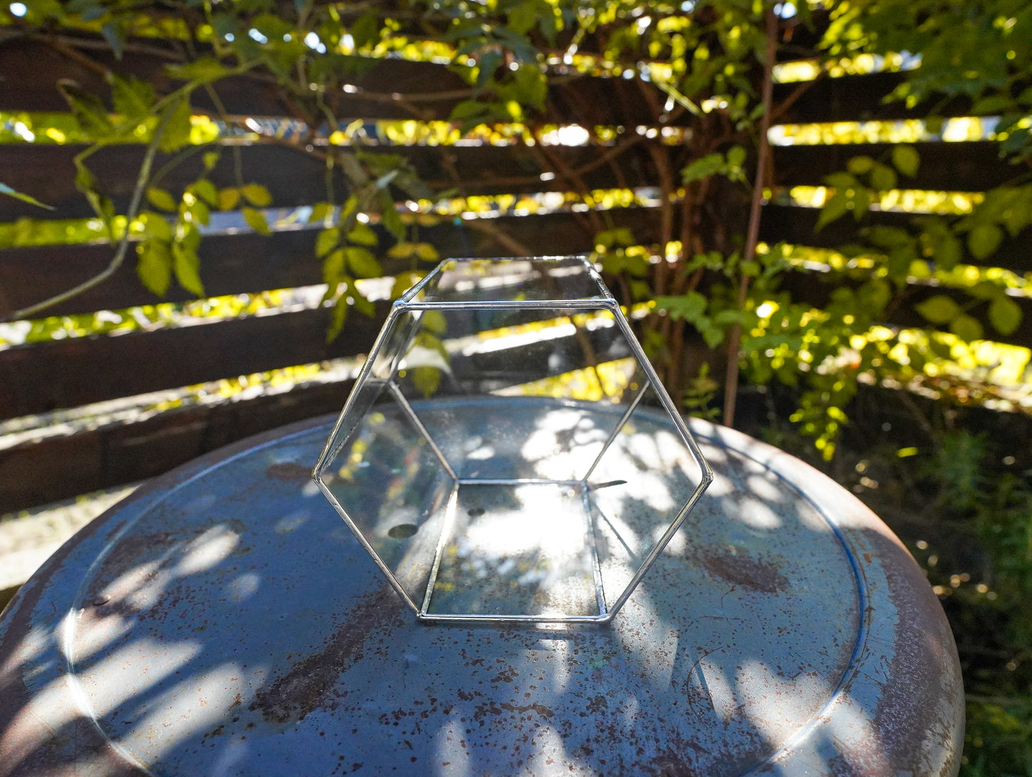 Glass Planter hexagon #67