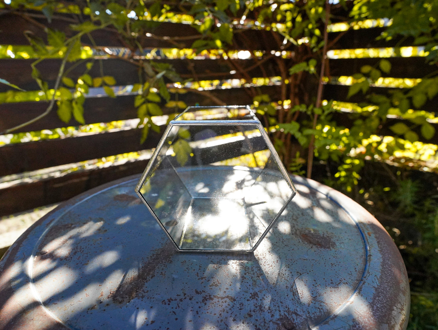 Glass Planter hexagon #67