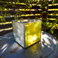 Glass Planter square yellow #72