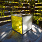 Glass Planter square yellow #72