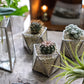 Glass Planter polygon mini #32